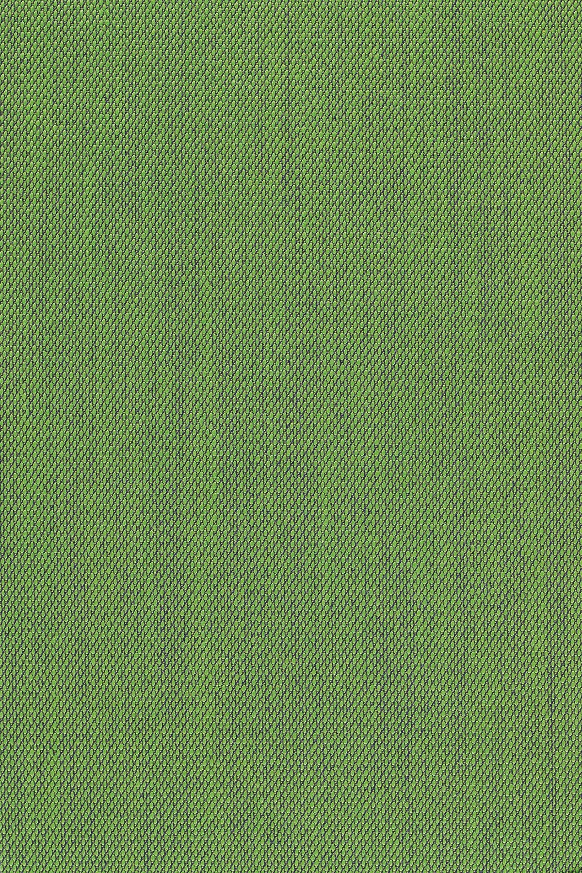Fabric sample Steelcut Trio 3 953 green